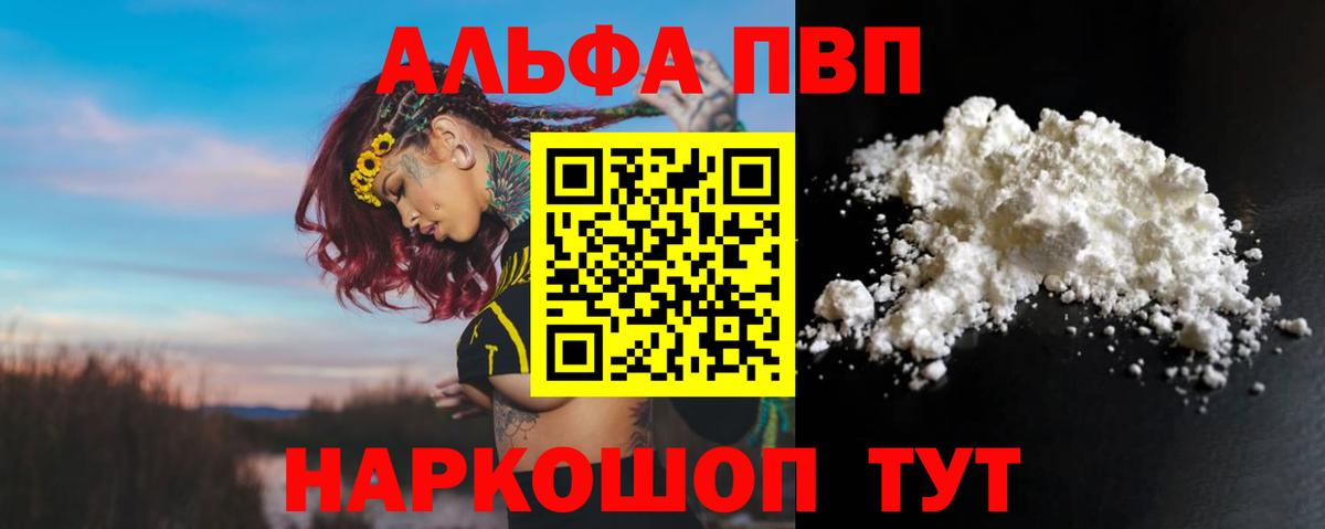 A PVP СК КРИС Вологда
