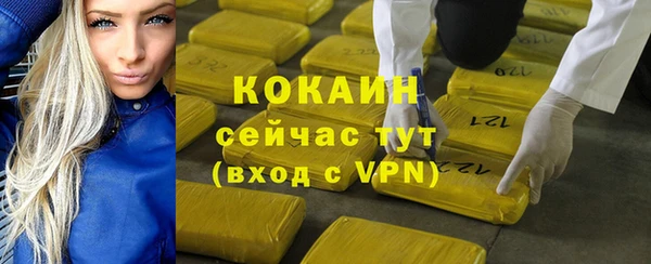 сатива Нефтекумск