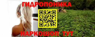 PSILOCYBIN Аргун