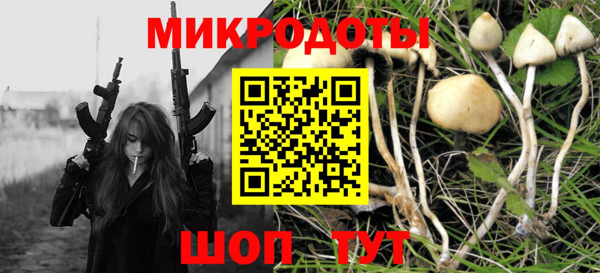 Галлюциногенные грибы MAGIC MUSHROOMS Вологда