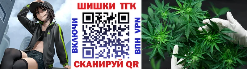 где продают наркотики  Вологда  Конопля ГИДРОПОН 